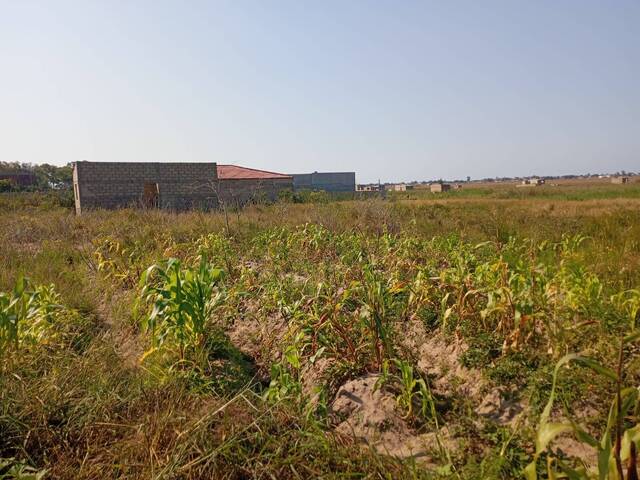 Área para Venda em Maputo - 3
