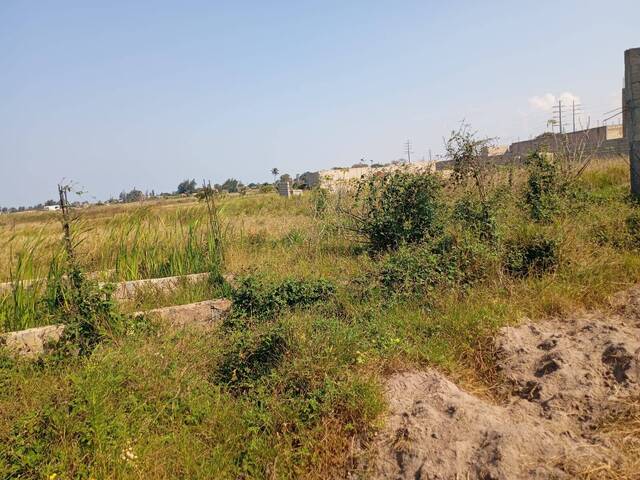 Área para Venda em Maputo - 4