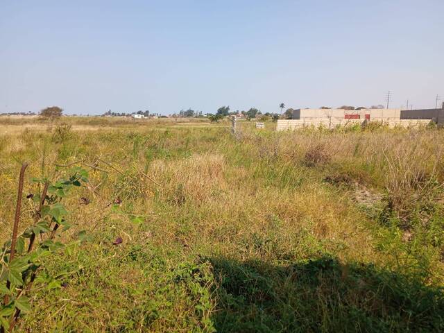 Área para Venda em Maputo - 5